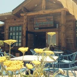 Artemis Lakefront Cafe