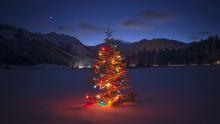 Holidays at Squaw Alpine
